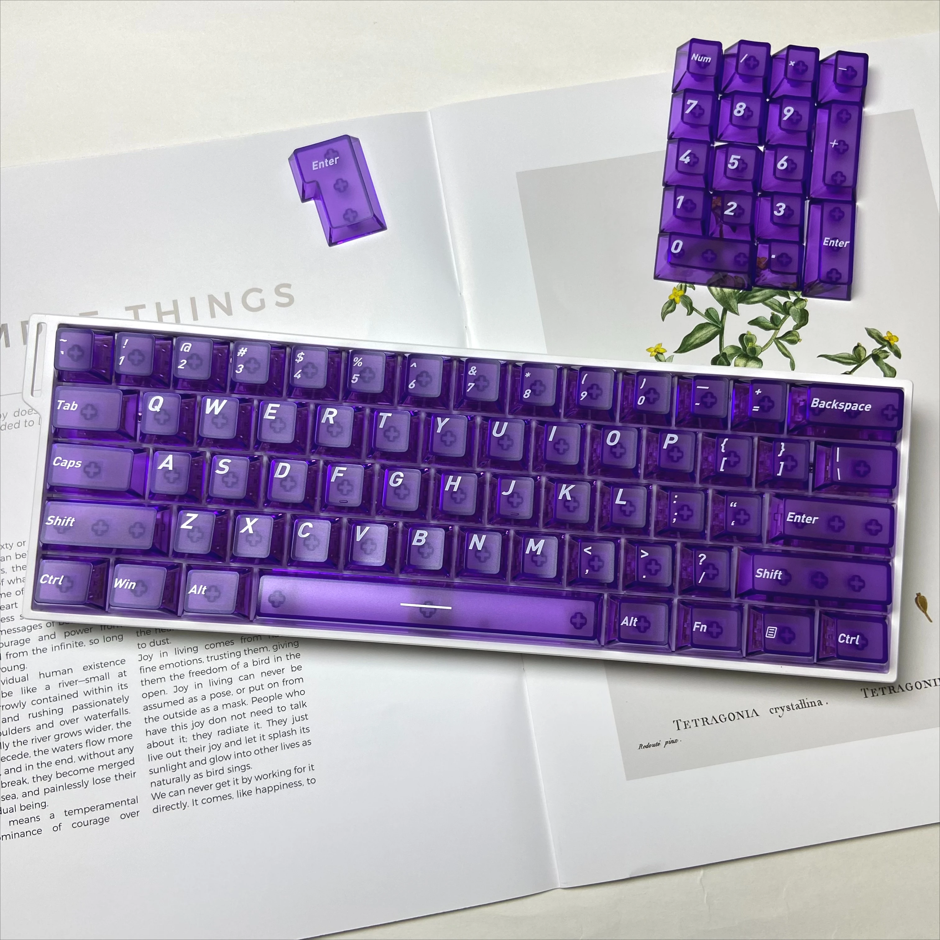 Matte Keycaps Cherry Profile T - مراجعة Gaming Keyboard Tkl وسعره