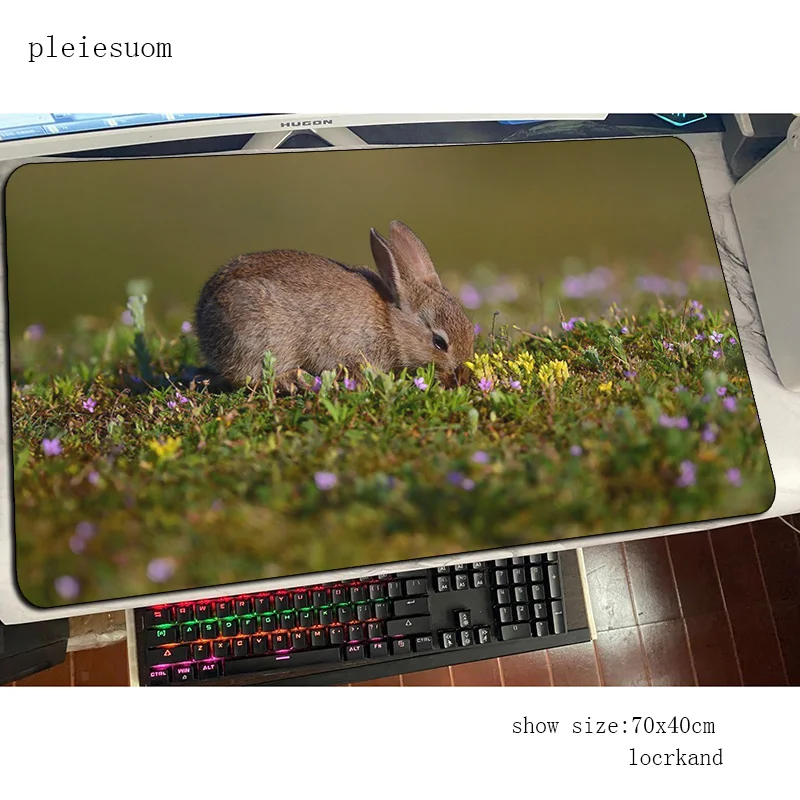 Rabbit cute mouse pad best mou - مراجعة Gaming Keyboard Best وسعره